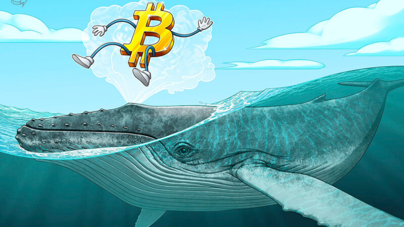 Bitcoin whale clusters pinpoint $18.6K as key short-term resistance