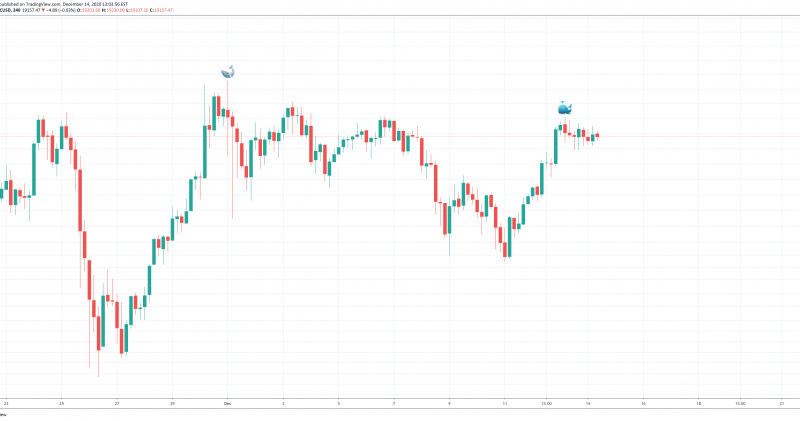 Whale Watching: Top Bitcoin Cetologist Warns Not To ‘Buy The Dip’