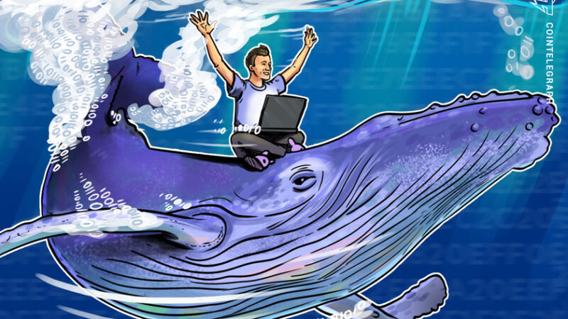 Bitcoin whales continue to accumulate despite BTC price holding above $50K