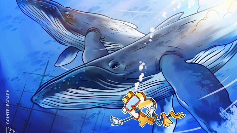 Whales offloaded 140K Bitcoin this month: Glassnode