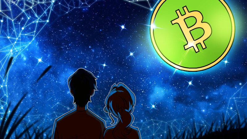 Bitcoin Cash price jumps 68%: Looming hard fork to boost BCH user base?